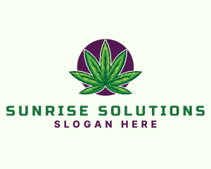 Hemp Cannabis Leaf logo design