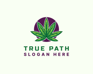 Hemp Cannabis Leaf logo design