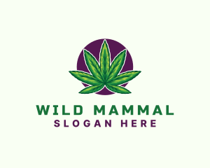 Hemp Cannabis Leaf logo design