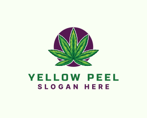 Hemp Cannabis Leaf logo design