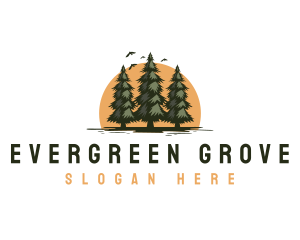 Eco Pine Tree  logo design