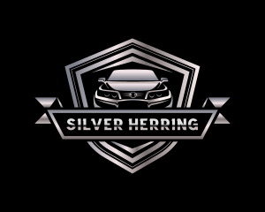 Car Auto Detailing logo design