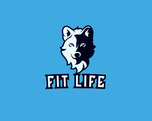 Wild Wolf Avatar logo