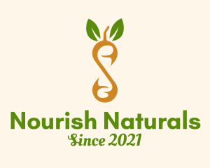 Organic Fruit Kombucha logo