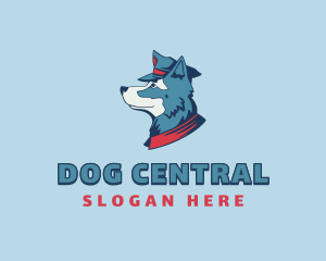 Pilot Dog Care Veterinary logo design