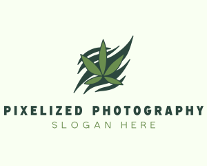 Green Cannabis Marijuana Leaf  logo design