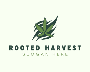 Green Cannabis Marijuana Leaf  logo design