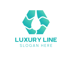 Hexagon Wave Line Droplet logo design