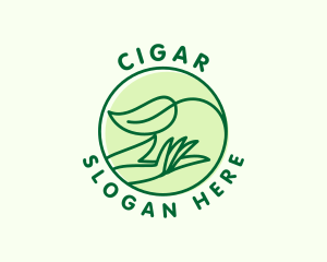 Organic Hand Spa logo design