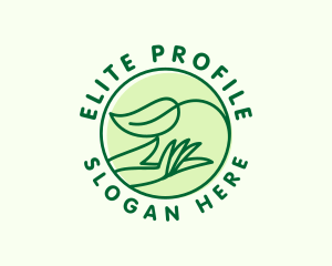 Organic Hand Spa logo design