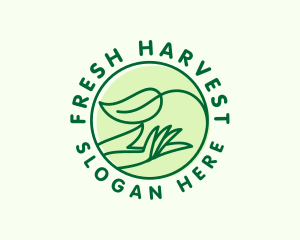 Organic Hand Spa logo design