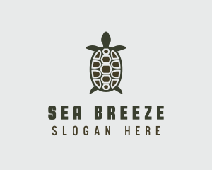 Sea Turtle Wildlife logo design