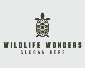 Sea Turtle Wildlife logo design