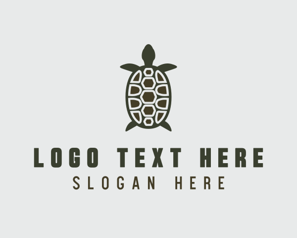 Turtle logo example 3