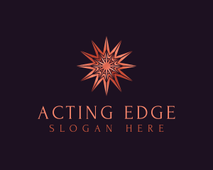 Elegant Star Mandala logo design