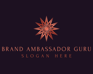 Elegant Star Mandala logo design