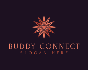 Elegant Star Mandala logo design