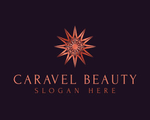 Elegant Star Mandala logo design