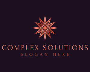 Elegant Star Mandala logo design