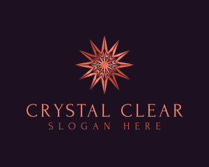 Elegant Star Mandala logo design