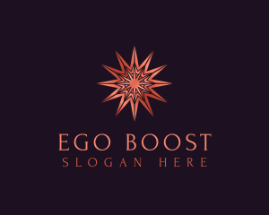 Elegant Star Mandala logo design