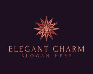 Elegant Star Mandala logo design