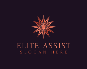 Elegant Star Mandala logo