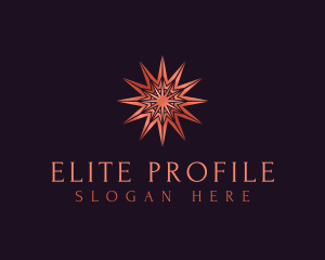 Elegant Star Mandala logo design