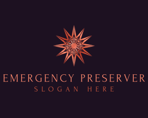 Elegant Star Mandala logo design