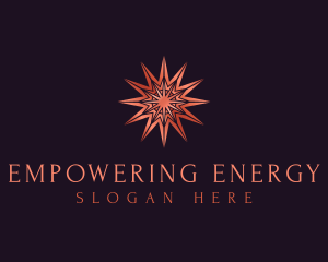 Elegant Star Mandala logo design