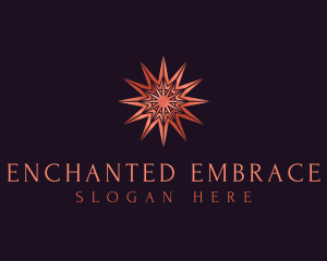 Elegant Star Mandala logo design