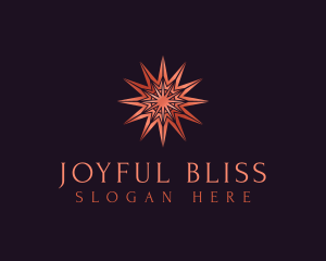 Elegant Star Mandala logo design