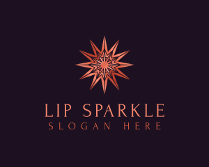 Elegant Star Mandala logo design