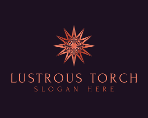 Elegant Star Mandala logo design