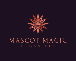 Elegant Star Mandala logo design