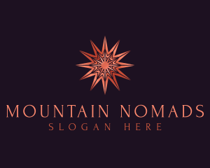 Elegant Star Mandala logo design