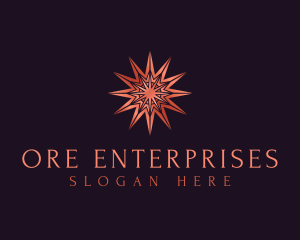 Elegant Star Mandala logo design