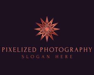 Elegant Star Mandala logo design