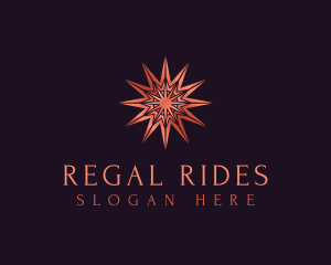 Elegant Star Mandala logo