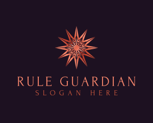 Elegant Star Mandala logo design