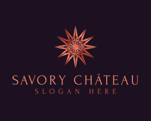 Elegant Star Mandala logo design