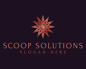 Elegant Star Mandala logo design