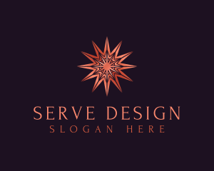 Elegant Star Mandala logo design