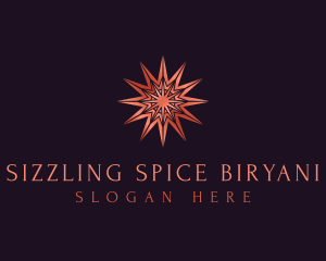 Elegant Star Mandala logo design