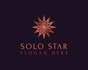 Elegant Star Mandala logo design