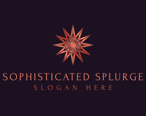 Elegant Star Mandala logo design