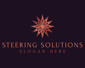 Elegant Star Mandala logo design