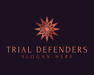 Elegant Star Mandala logo design