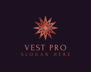 Elegant Star Mandala logo design