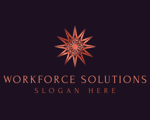 Elegant Star Mandala logo design